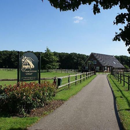 Recreatieoord Hippique Villa Westendorp Exteriör bild