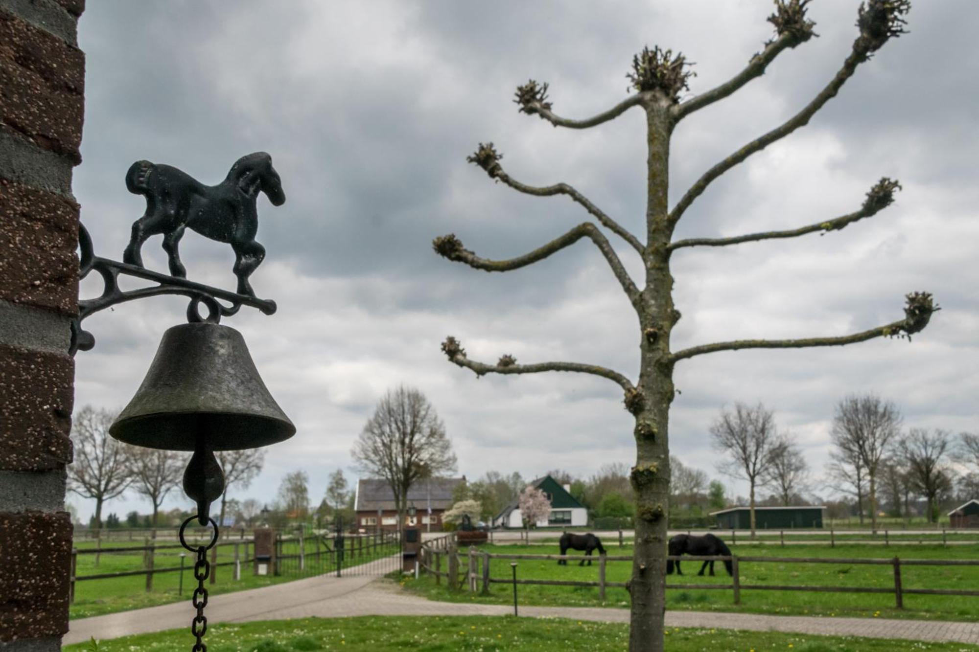 Recreatieoord Hippique Villa Westendorp Rum bild