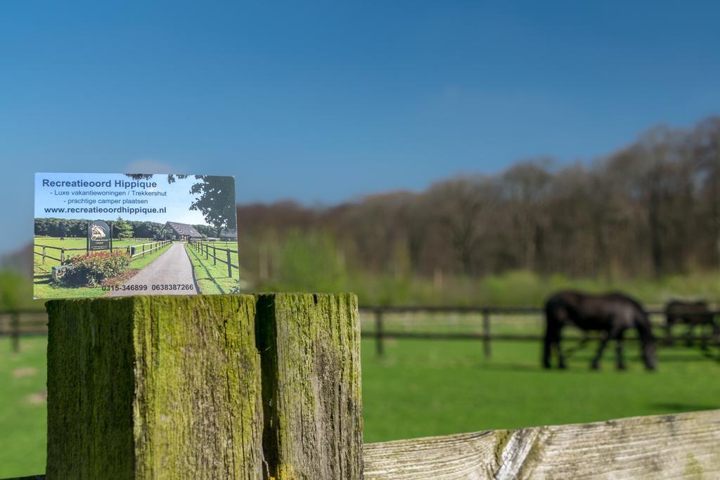 Recreatieoord Hippique Villa Westendorp Rum bild
